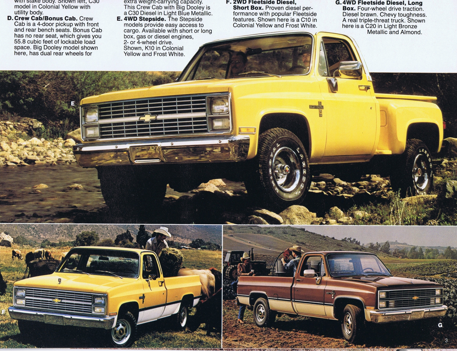 n_1983 Chevrolet Full Size Pickups (Cdn)-03.jpg